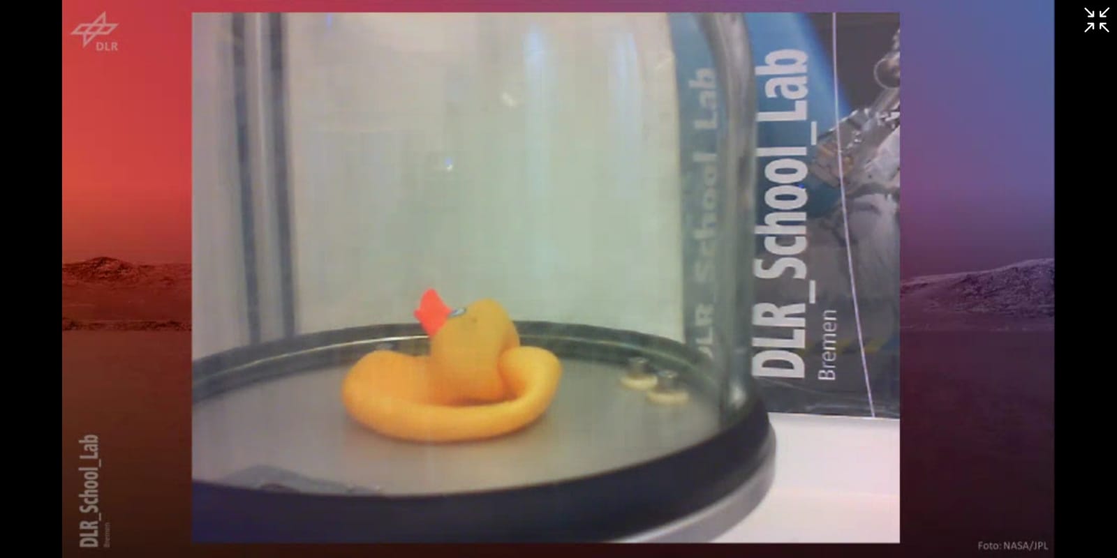 Ente mit Luft